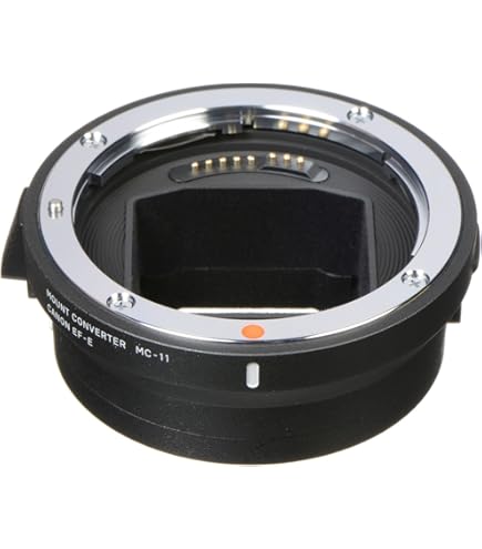 Amazon.co.jp: Canon EF 8-15mm f/4L Fisheye USM SLR Wide fish-eye